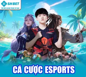 cá cược esports