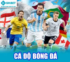 cá độ bóng đá